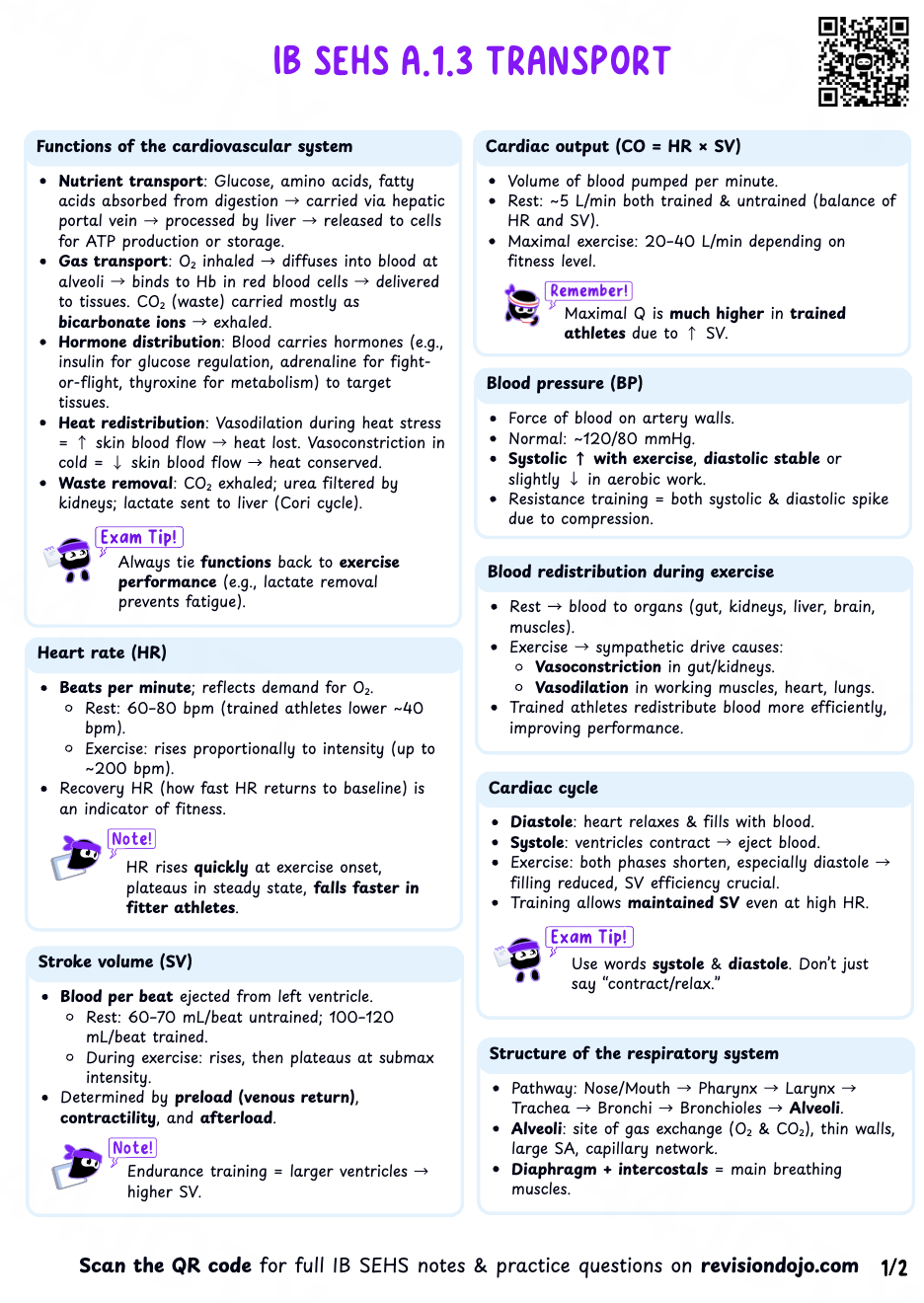 Chloe's Cheat Sheet A.1.5