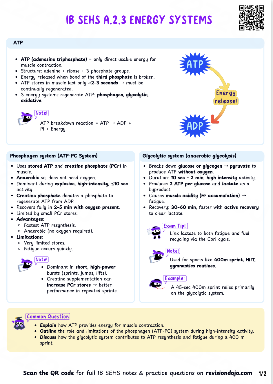 Chloe's Cheat Sheet A.2.5
