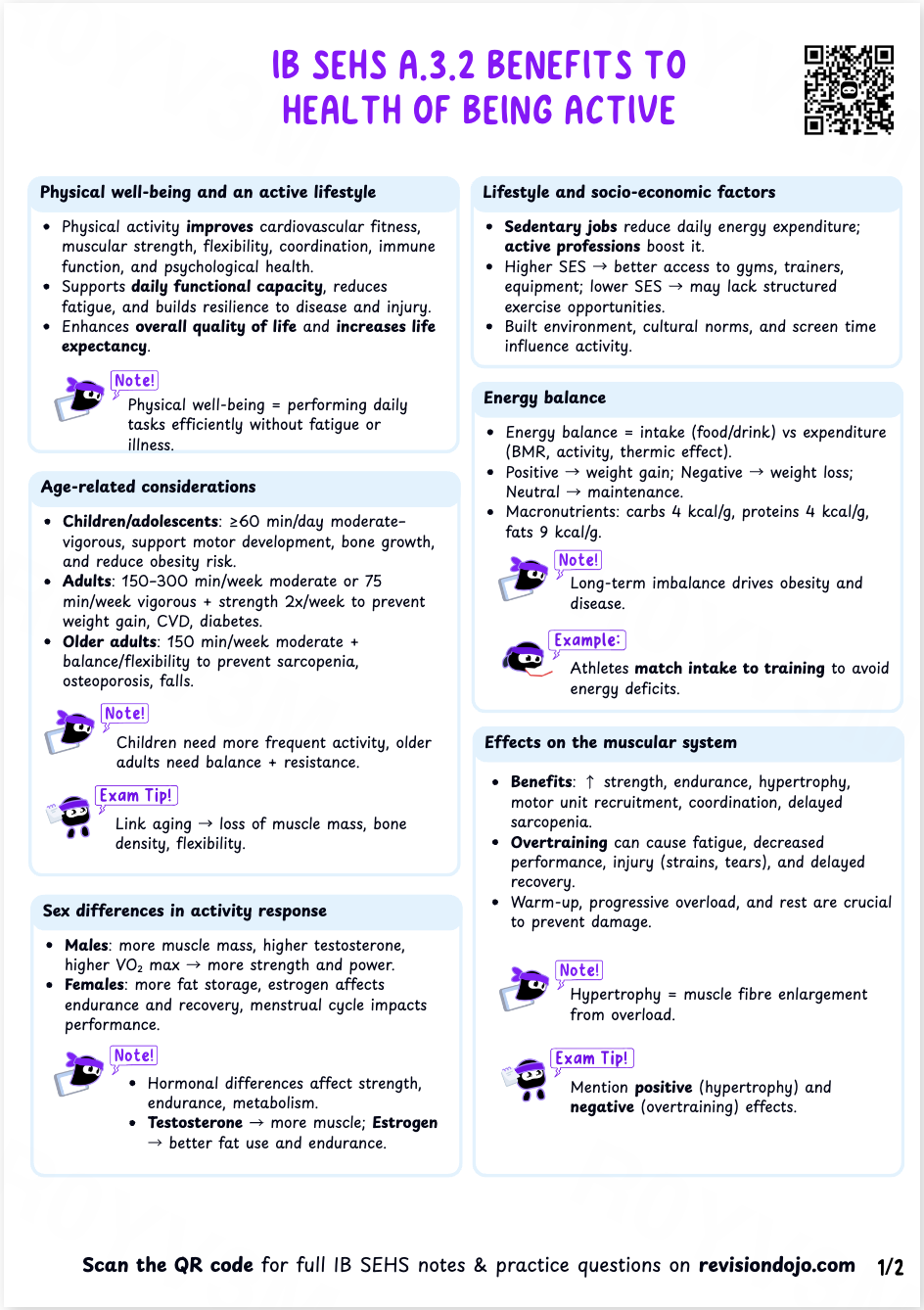 Chloe's Cheat Sheet A.3.3