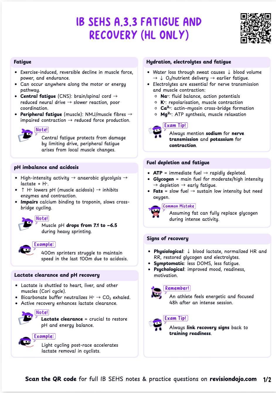 Chloe's Cheat Sheet A.3.5