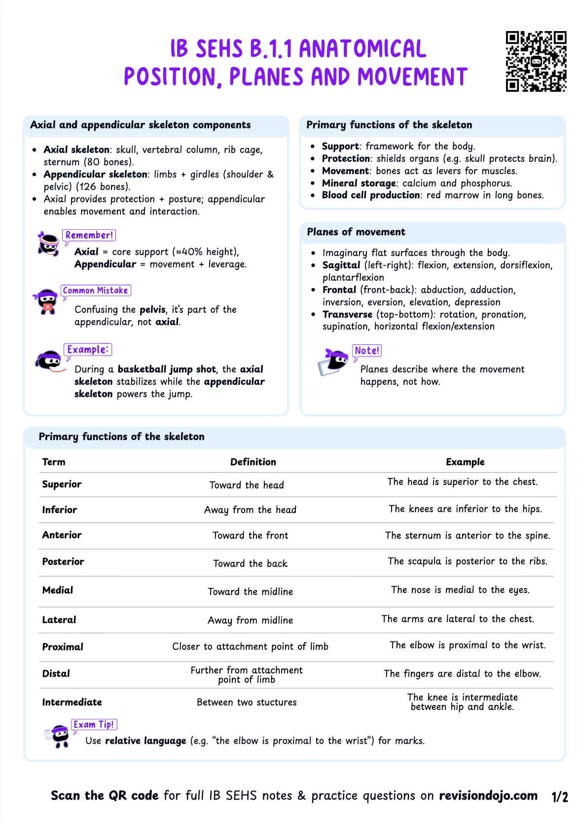 Chloe's Cheat Sheet B.1.1