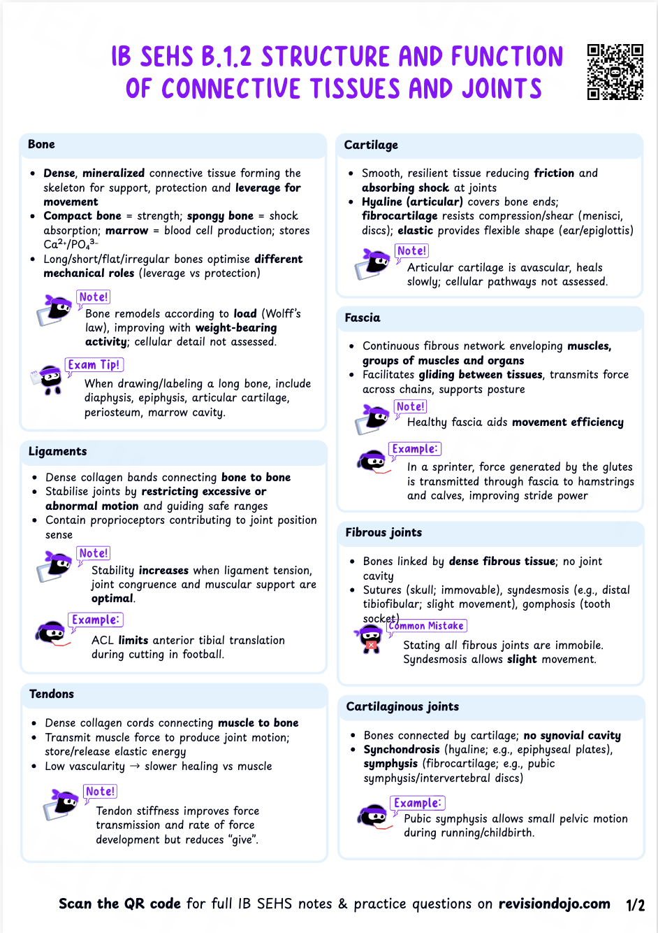 Chloe's Cheat Sheet B.1.3