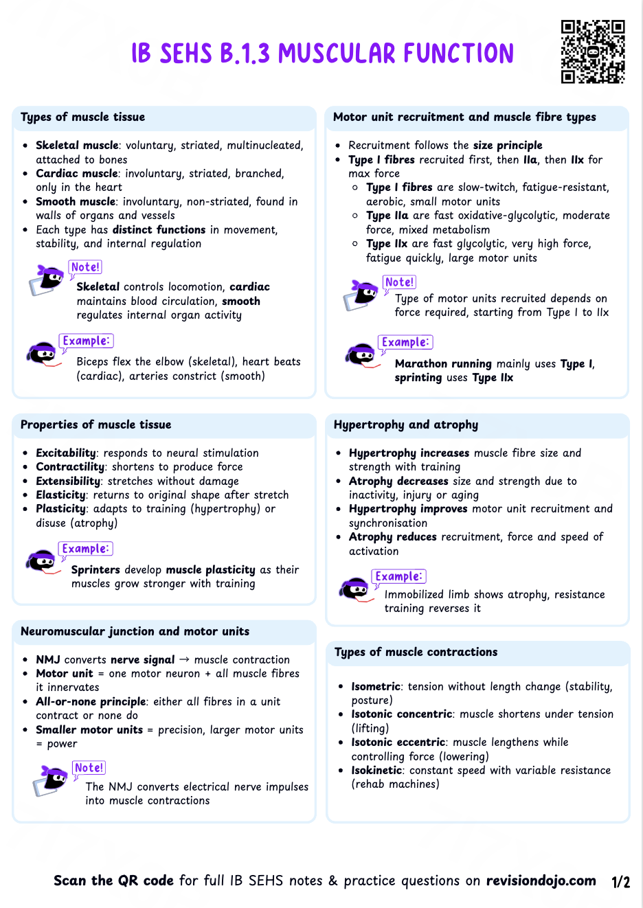 Chloe's Cheat Sheet B.1.5