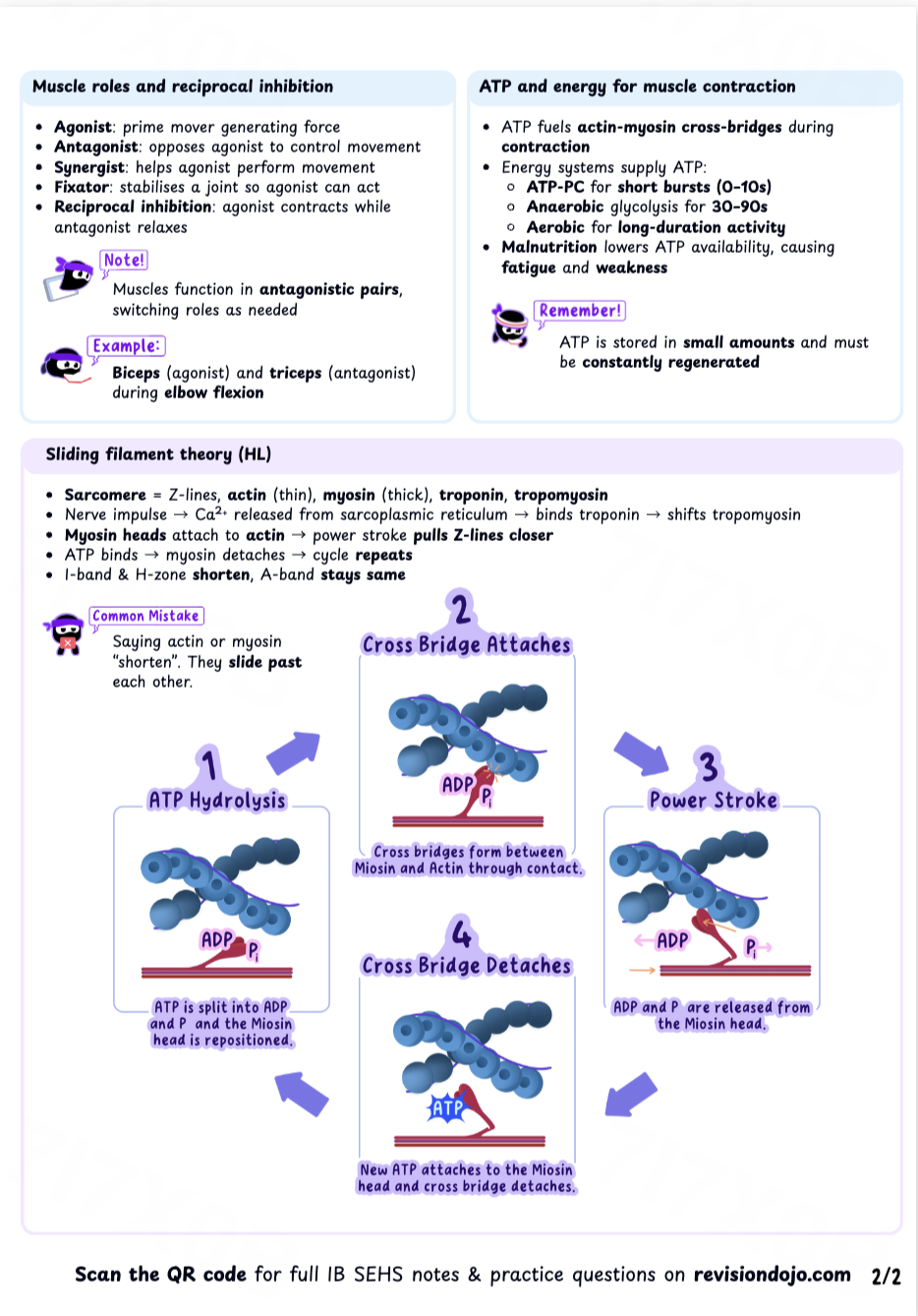 Chloe's Cheat Sheet B.1.6