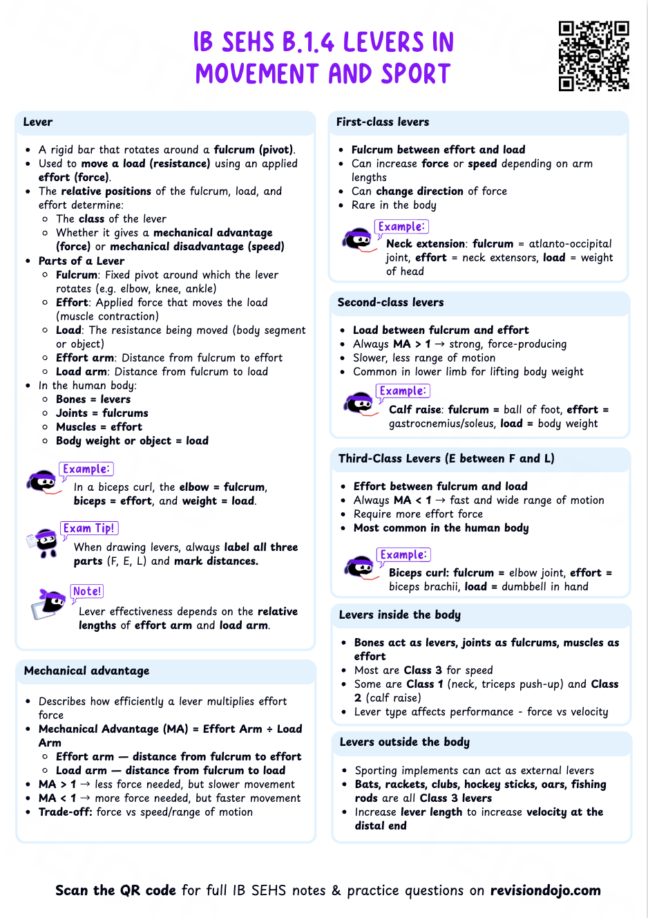 Chloe's Cheat Sheet B.1.7